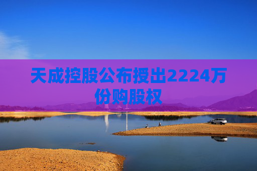 天成控股公布授出2224万份购股权  第1张