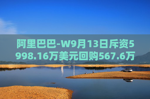 阿里巴巴-W9月13日斥资5998.16万美元回购567.6万股  第1张