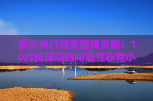 欧洲央行管委西姆库斯：10月份降息的可能性非常小  第1张