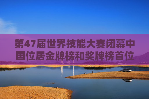 第47届世界技能大赛闭幕中国位居金牌榜和奖牌榜首位  第1张