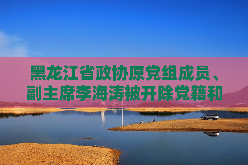 黑龙江省政协原党组成员、副主席李海涛被开除党籍和公职  第1张