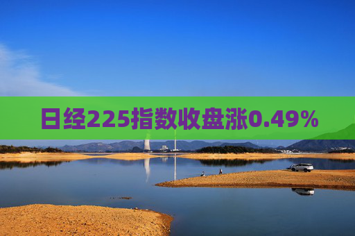 日经225指数收盘涨0.49%  第1张