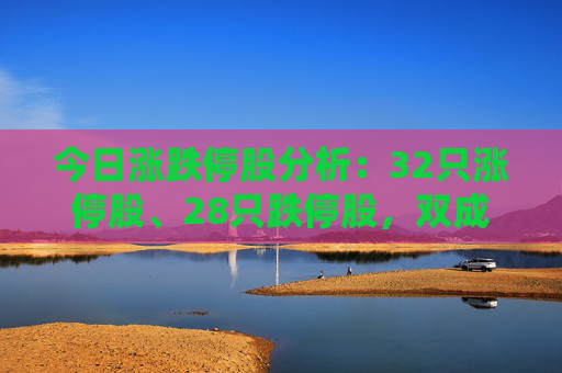 今日涨跌停股分析：32只涨停股、28只跌停股，双成药业4连板，天茂集团、海南海药等跌停  第1张