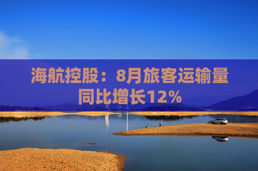 海航控股：8月旅客运输量同比增长12%  第1张