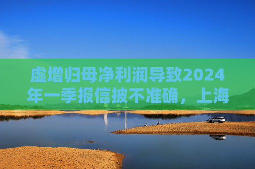 虚增归母净利润导致2024年一季报信披不准确，上海新阳及董事长等收上海证监局警示函  第1张