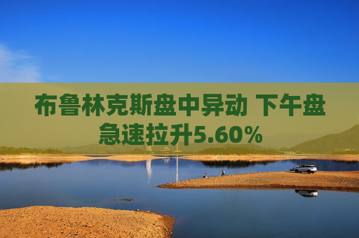 布鲁林克斯盘中异动 下午盘急速拉升5.60%  第1张