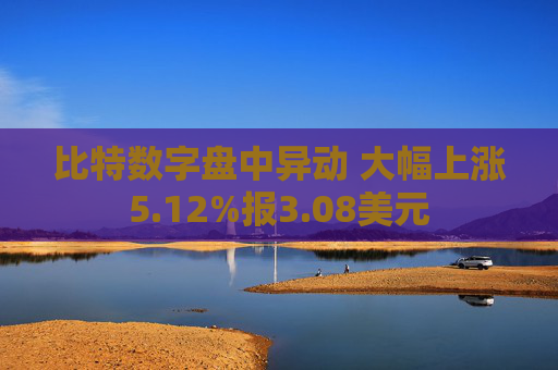 比特数字盘中异动 大幅上涨5.12%报3.08美元  第1张