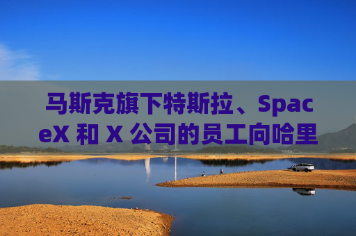 马斯克旗下特斯拉、SpaceX 和 X 公司的员工向哈里斯捐款 而他本人支持特朗普  第1张