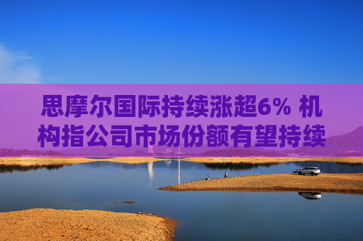 思摩尔国际持续涨超6% 机构指公司市场份额有望持续提升