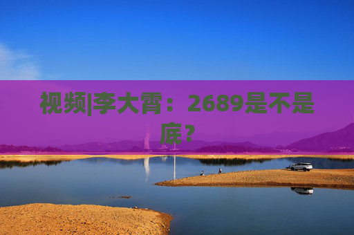 视频|李大霄：2689是不是底？  第1张