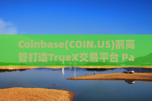 Coinbase(COIN.US)前高管打造TrueX交易平台 PayPal(PYPL.US)稳定币PYUSD成核心交易货币  第1张