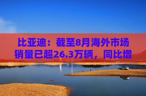 比亚迪：截至8月海外市场销量已超26.3万辆，同比增长125%  第1张