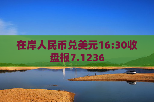 在岸人民币兑美元16:30收盘报7.1236  第1张