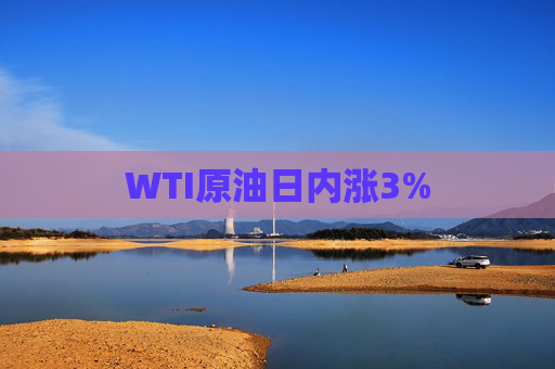 WTI原油日内涨3%  第1张