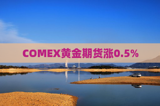 COMEX黄金期货涨0.5%