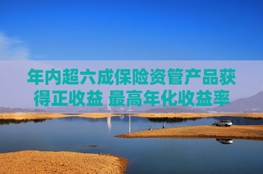 年内超六成保险资管产品获得正收益 最高年化收益率约35%