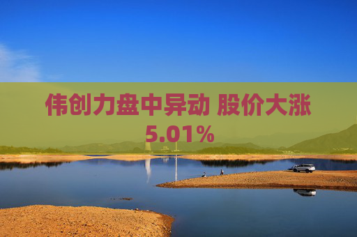 伟创力盘中异动 股价大涨5.01%  第1张