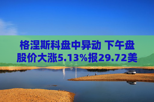 格涅斯科盘中异动 下午盘股价大涨5.13%报29.72美元  第1张