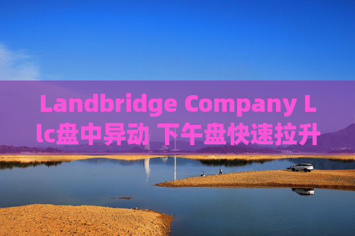 Landbridge Company Llc盘中异动 下午盘快速拉升5.14%报39.79美元  第1张