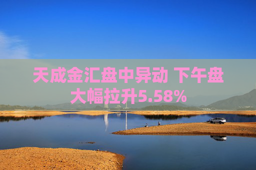 天成金汇盘中异动 下午盘大幅拉升5.58%  第1张