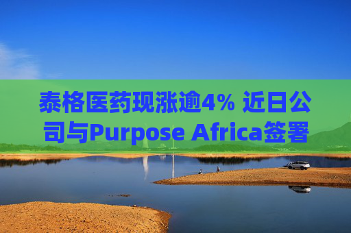 泰格医药现涨逾4% 近日公司与Purpose Africa签署合作备忘录