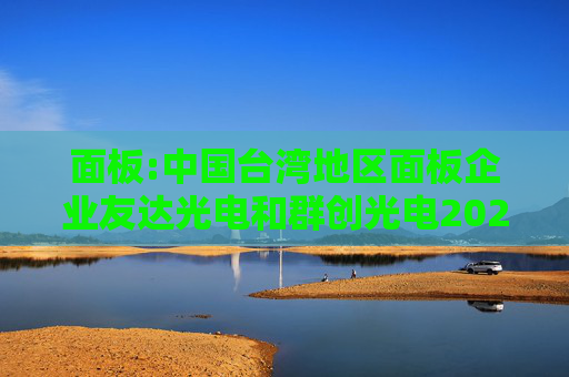 面板:中国台湾地区面板企业友达光电和群创光电2024年8月营收环比增长