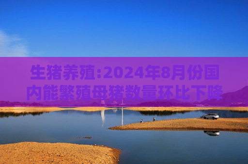 生猪养殖:2024年8月份国内能繁殖母猪数量环比下降5万头，至4036万头