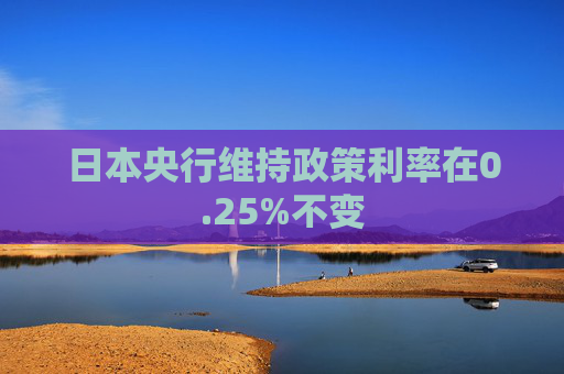 日本央行维持政策利率在0.25%不变  第1张