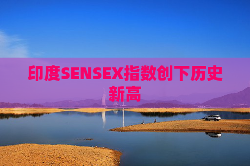 印度SENSEX指数创下历史新高