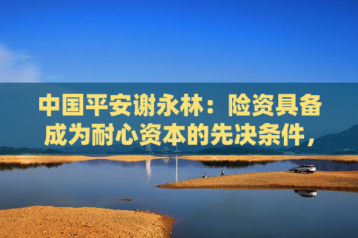 中国平安谢永林：险资具备成为耐心资本的先决条件，仍需行业改革创新提升长期投资质效  第1张