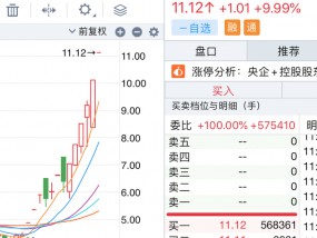 国企改革概念保变电气13天9板，公司提示可能存在炒作风险，近期谁在买卖？