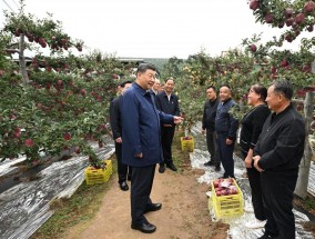 习近平在甘肃考察时强调深化改革勇于创新苦干实干富民兴陇奋力谱写中国式现代化甘肃篇章途中在陕西宝鸡考察