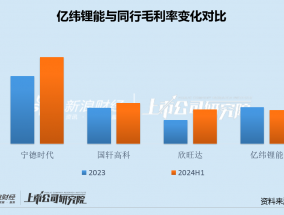 亿纬锂能股权激励罕见考核出货量：中报毛利率逆势下滑 50亿融资计划两年难产