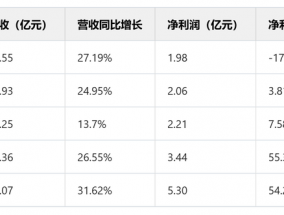 千禾味业的“0添加”光环电力不足