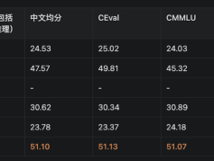 大模型烧钱不止，“小模型”能否率先盈利？