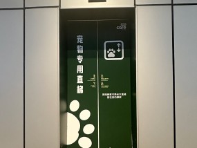 上海一商场设“宠物专用直梯”：无强制性，加强引导