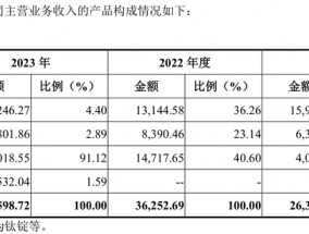 天工股份闯关北交所将上会，第一大客户收入占比超八成