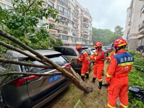 台风暴雨天气车辆受损，可以理赔吗？上海市消保委详解